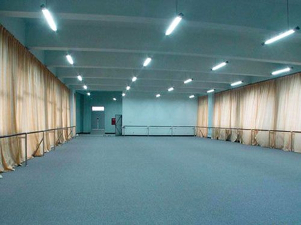 舞蹈室专用地板